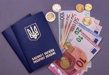 Gri arka plan üzerinde izole Euro banknot ile uluslararası Ukrayna pasaportu.