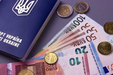 Gri arka plan üzerinde izole Euro banknot ile uluslararası Ukrayna pasaportu.