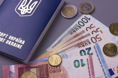 Gri arka plan üzerinde izole Euro banknot ile uluslararası Ukrayna pasaportu.
