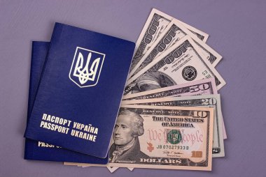 Bizimle gri arka plan üzerinde izole dolar uluslararası Ukrayna pasaportu.