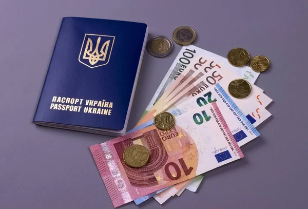 Gri arka plan üzerinde izole Euro banknot ile uluslararası Ukrayna pasaportu.