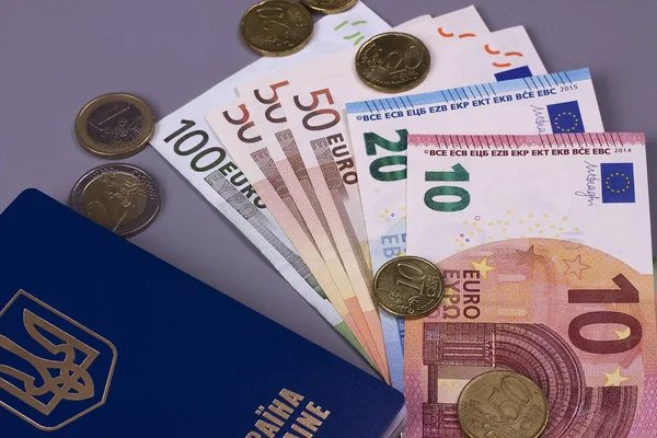 Gri arka plan üzerinde izole Euro banknot ile uluslararası Ukrayna pasaportu.