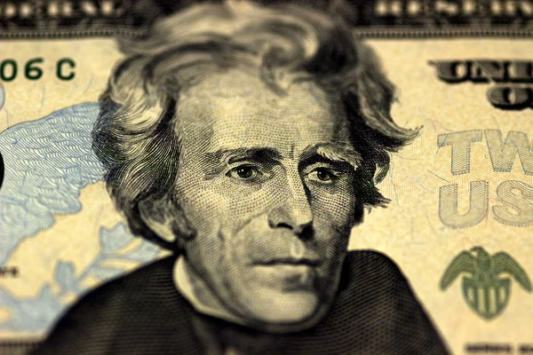Andrew Jackson face em US vinte ou 20 dólares projeto de lei macro, Estados Unidos fechamento do dinheiro . — Fotografia de Stock