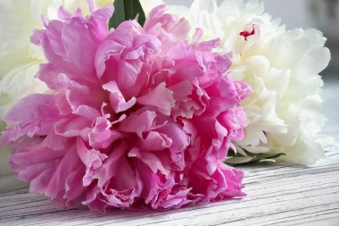 Beyaz ahşap zemin üzerinde beyaz mor Şakayık çiçeği.