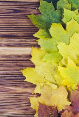 üzerinde kahverengi ahşap arka plan kopya alanı ile sonbahar yaprakları.