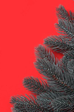 Noel ağacı btanches veya kırmızı karton arka plan.