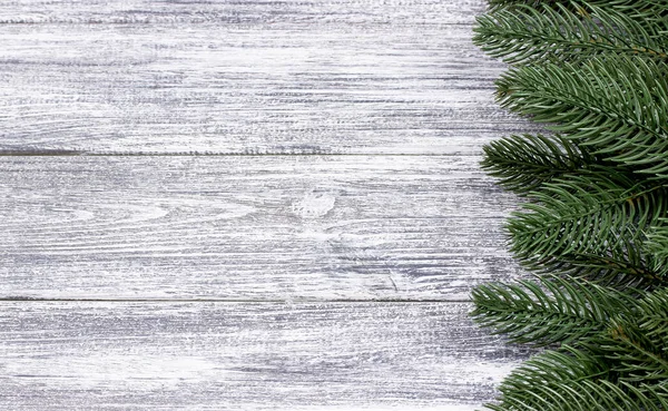 Gri ahşap arka plan christmas dekorasyon yeşil dallarda.
