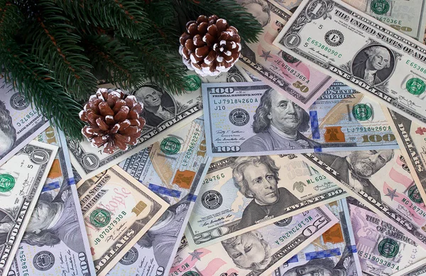 Christmas background american dollars fir branches cones. — Stock Photo, Image
