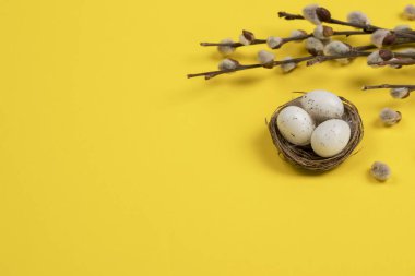 Paskalya dekorasyon iç içe yumurta dalları tomurcukları Sarı zemin üzerine.