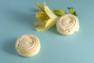 Alstroemeria çiçekler zephyr mavi kağıt arka plan üzerinde beyaz.