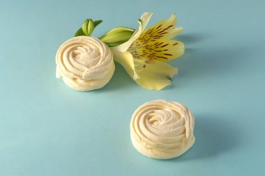 Alstroemeria çiçekler zephyr mavi kağıt arka plan üzerinde beyaz.