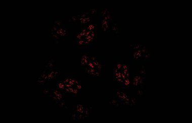 Siyah arka planda modern tarzda siyah siyah soyut fraktal. Soyut geometrik kağıt arkaplanı.