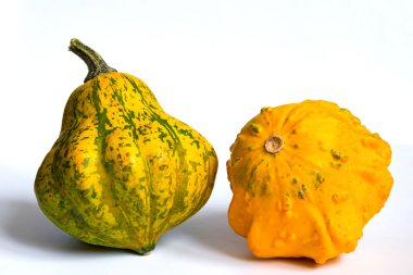İki küçük dekoratif kabak squashes