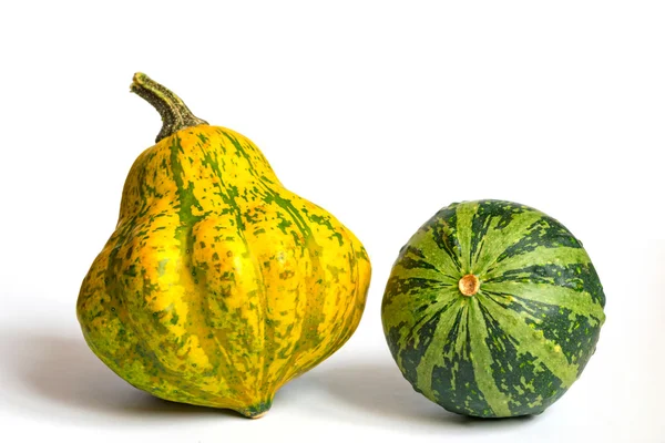 İki küçük dekoratif kabak squashes