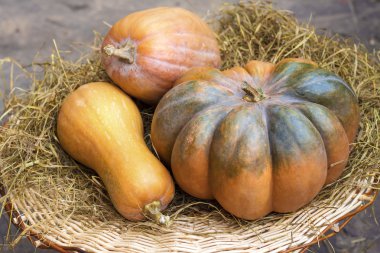 Üç taze bütün kabak saman üzerinde döşeme farklı şekiller