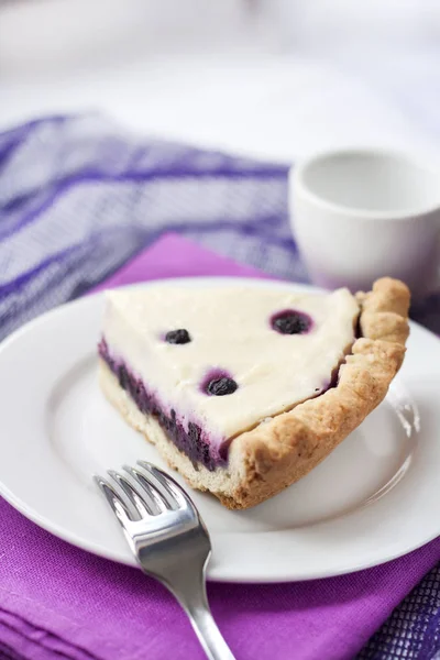 Piece of cheesecake with blueberries on a plate — Stock Photo, Image