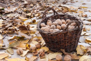 Hasır sepetin içindeki cevizler, düşmüş sarı yapraklar.