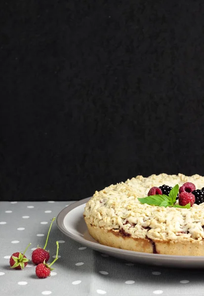 Домашний ягодный песочный пирог с крошкой на тарелке — стоковое фото