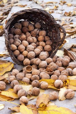Hasır sepetin içindeki cevizler, düşmüş sarı yapraklar.