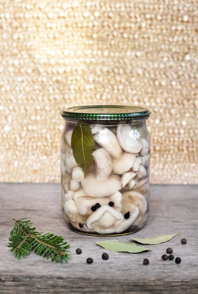Champiñones Suillus marinados en frasco de vidrio —  Fotos de Stock