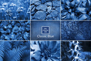 2020 'nin Klasik Mavi Rengi ile renklendirilmiş güzel resimlerin kolajı