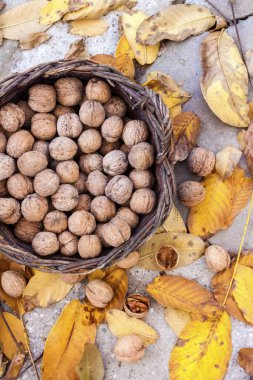 Hasır sepetin içindeki cevizler, düşmüş sarı yapraklar.