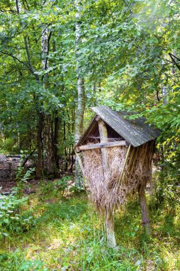 Wooden feeder for wild animals with hey in autumn forest 