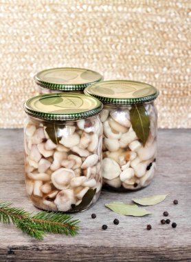 Ev yapımı koruma. Demir kapaklı cam kavanozlarda marine edilmiş Suillus mantarları.