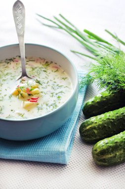 Okroshka - geleneksel Rus soğuk çorbası taze salatalık, haşlanmış yumurta ve dereotlu