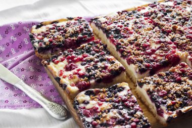 Çeşit çeşit böğürtlenli lezzetli turta ve ahşap bir tahtanın üzerinde kare şeklinde kesilmiş süzme peynir.