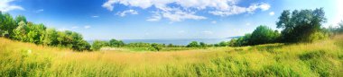 Kaniv Reservoir sahilinin güzel manzarası, Ukrayna, güneşli bir günde açık bulutlu gökyüzü