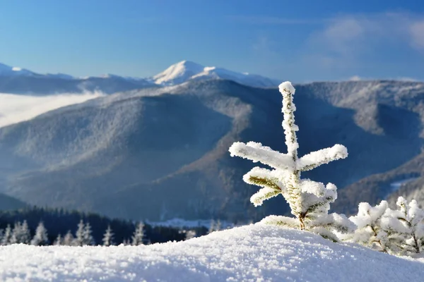 Inverno nas montanhas — Fotografia de Stock