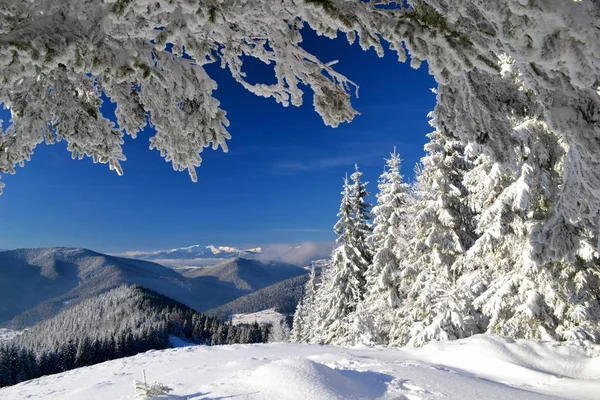 Winter in the mountains — Stock Photo, Image