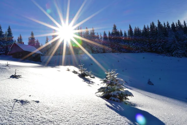 Hiver dans les montagnes — Photo