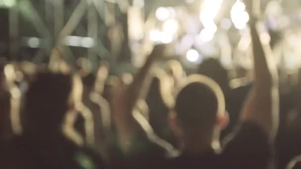 La gente festejando en un concierto — Vídeo de stock