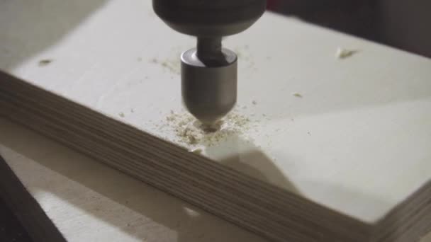 Industrieller Tischler Der Holz Verarbeitet — Stockvideo