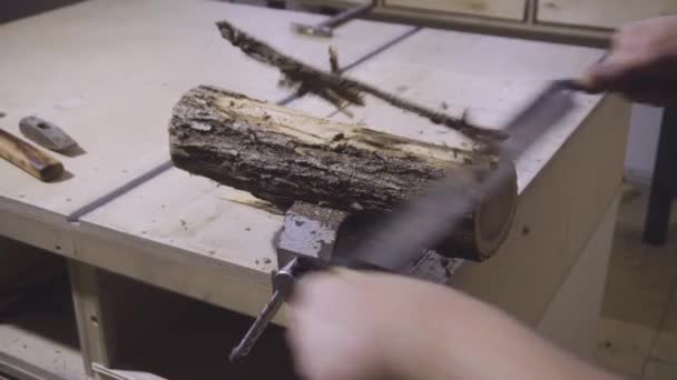 Trabalhador Carpinteiro Industrial Operando Madeira — Vídeo de Stock