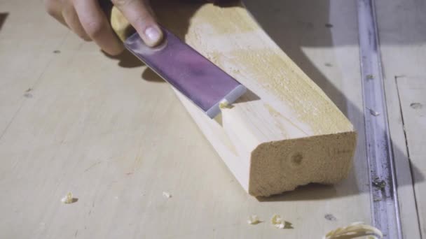 Trabalhador Carpinteiro Industrial Operando Madeira — Vídeo de Stock