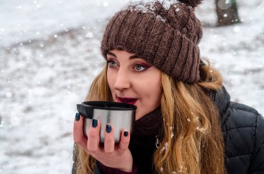 sıcak soğuk havalarda mulled şarap için baharat