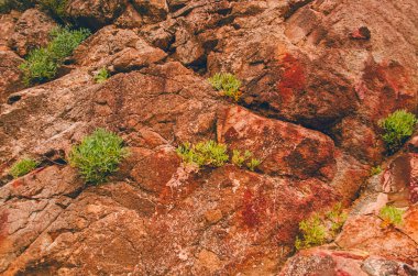 Dağ doku. Dayanıklı taş.