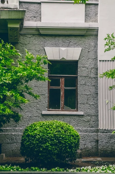 Retro home window. Green bushes