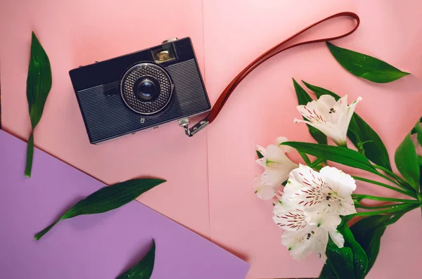 Macchina Fotografica Viaggio Ricreazione Fiori Vista Dall Alto Sfondo Rosa — Foto Stock