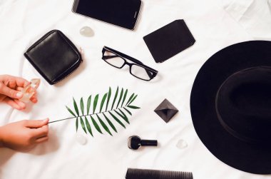 Masaüstü. Elinde bir eğrelti ve bir kristal tutun. seyahat ve Turizm