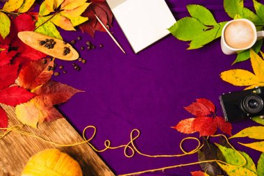 Yukarıdaki görünümünden, arka plan ve doku. sonbahar günü. sıcak kahve köpüğü, notlar, bir fırça, konu, bir not defteri ile farklı renklerde kalkıyor. fotoğraf makinesi