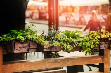 Avrupa sokakları. çiçekli bir kafe. parlama