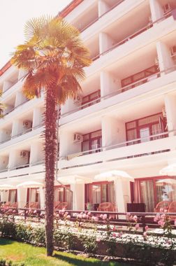 Hotel turizm ve seyahat sırasında eğlence için. retro tarzı. tropikal palmiye ağaçları