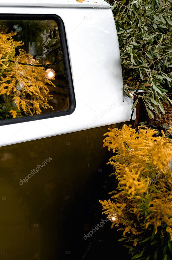 car, side windows of the car. decorated with flowers, mimosa