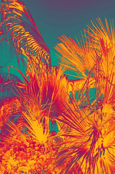 Design Acid Colors Tropical Leaves — Stock Photo, Image
