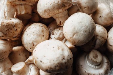 Doku. Bir sürü şampiyon. Sseps. en üstteki görünüm