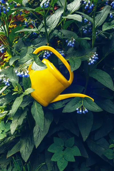 Kwiaty Zadbany Ogród Podlewanie Upraw — Zdjęcie stockowe
